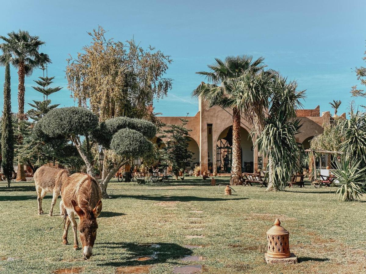 Le Bled De Gre Hotell El Makina Exteriör bild