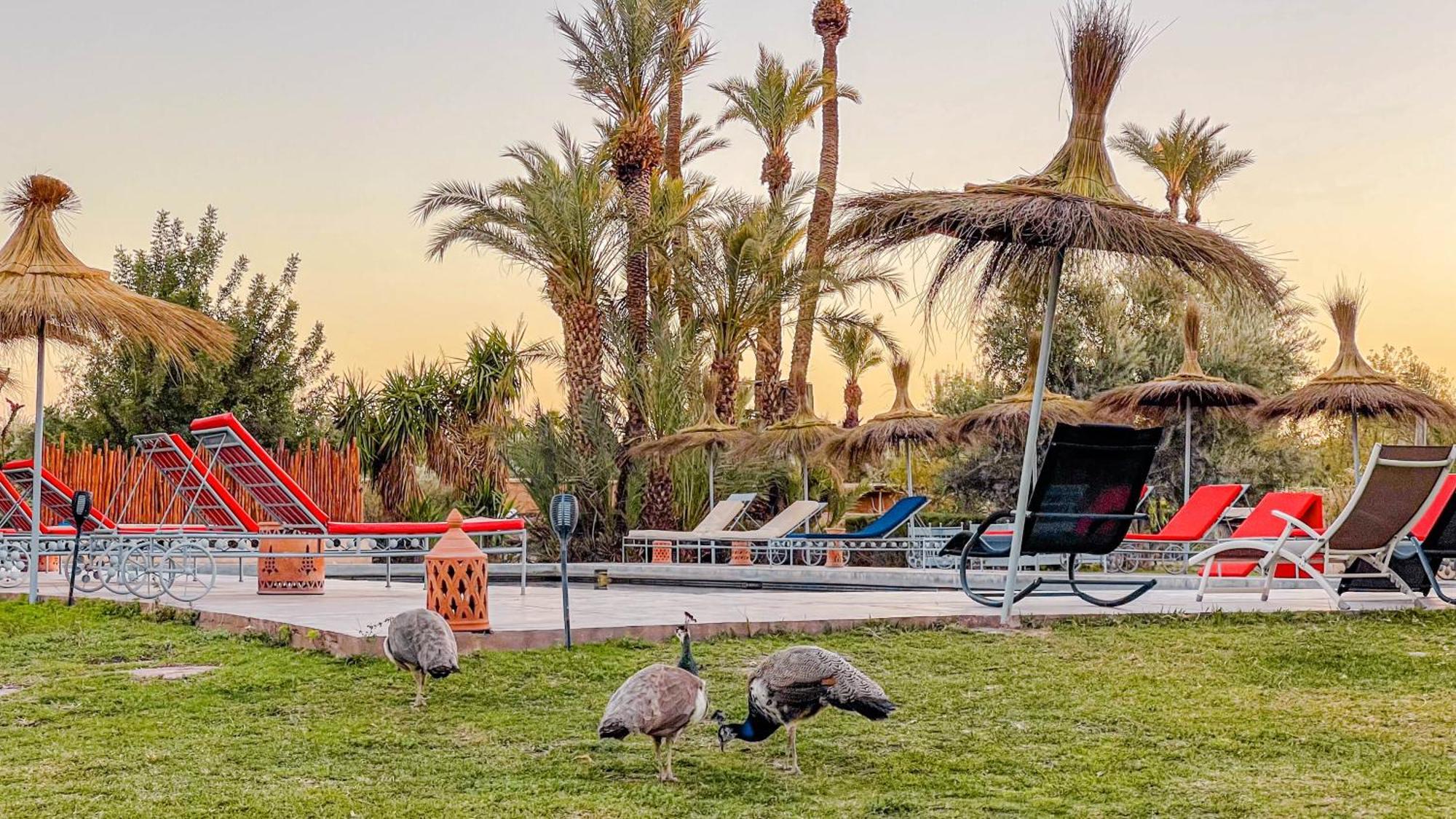 Le Bled De Gre Hotell El Makina Exteriör bild